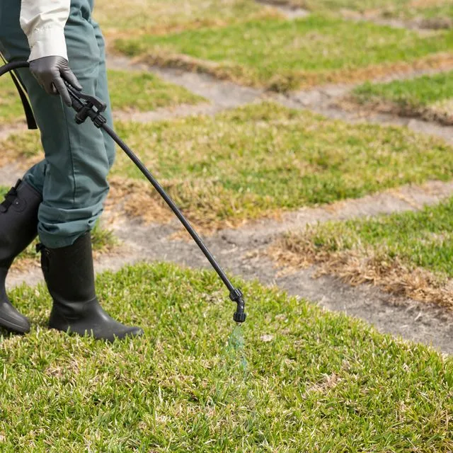 thumbnail for publication: Florida Sod Inventory and Pricing Report—2025